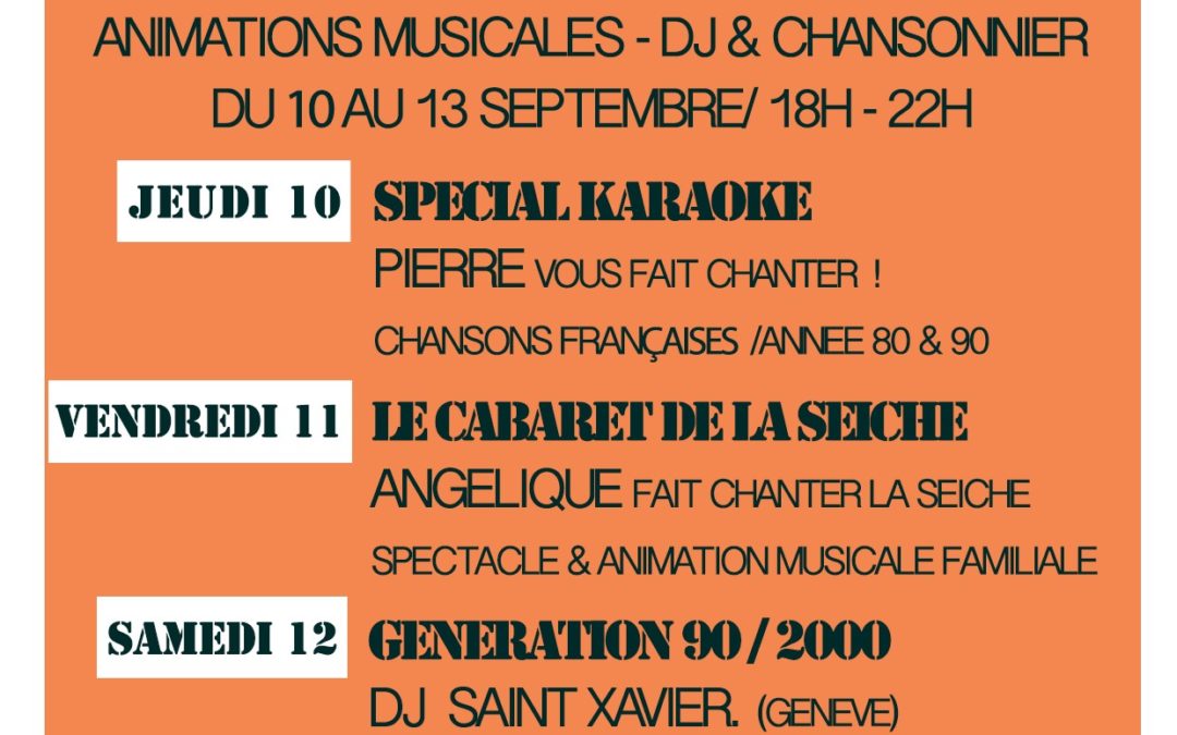 Animations musicales, DJ et chansonniers