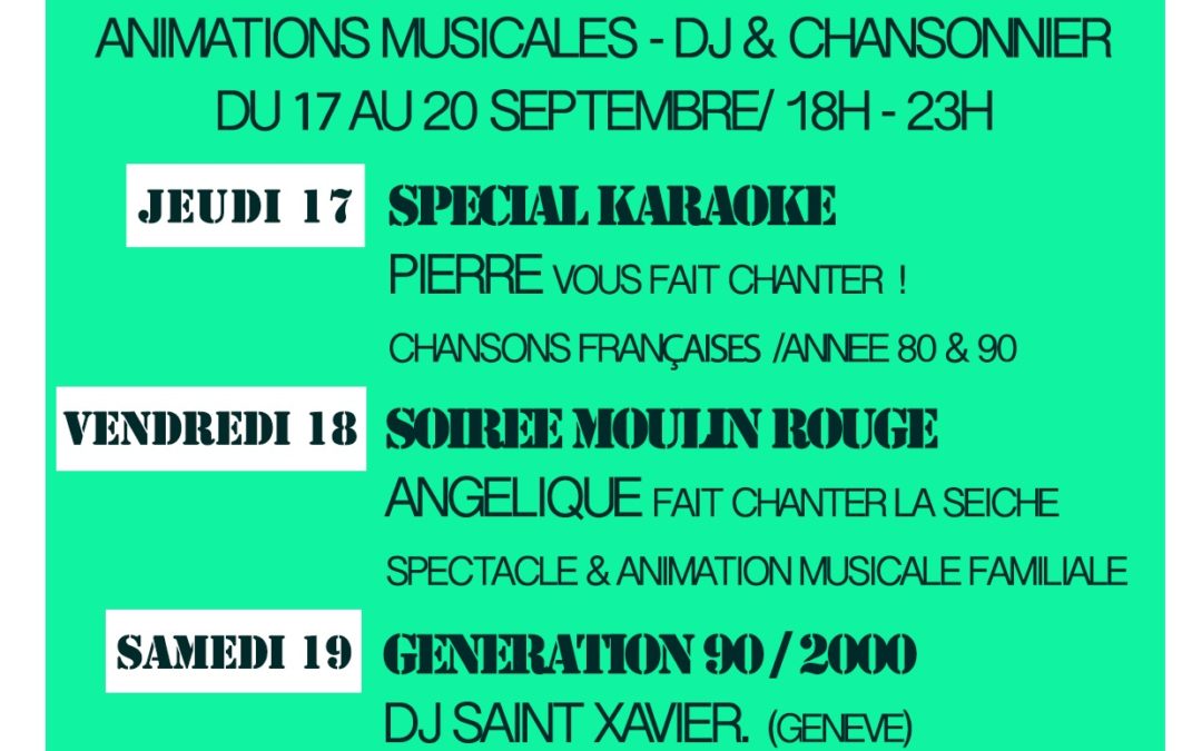 Animations musicales, DJ et chansonniers