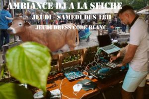 Ambiance DJ bar de La Seiche à Sevrier, lac d'Annecy