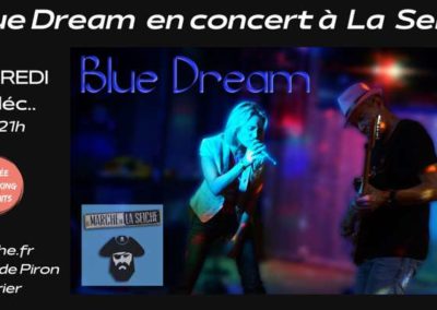 Blue Dream en concert à la seiche