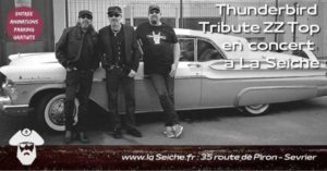 Thunderbird Tribute ZZ Top en concert à la Seiche, Sevrier