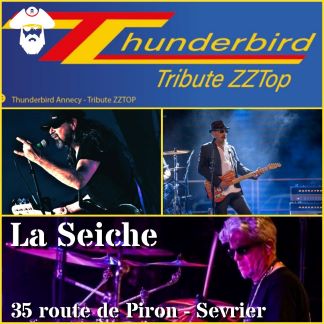 Thunderbird Tribute ZZ Top en concert à la Seiche, Sevrier