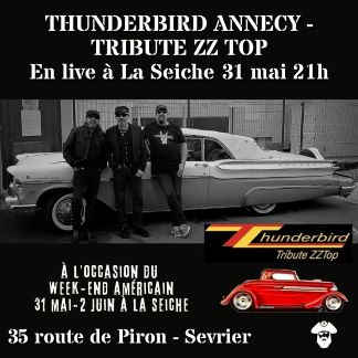 Thunderbird Tribute ZZ Top en concert le 31 mai à La Seiche